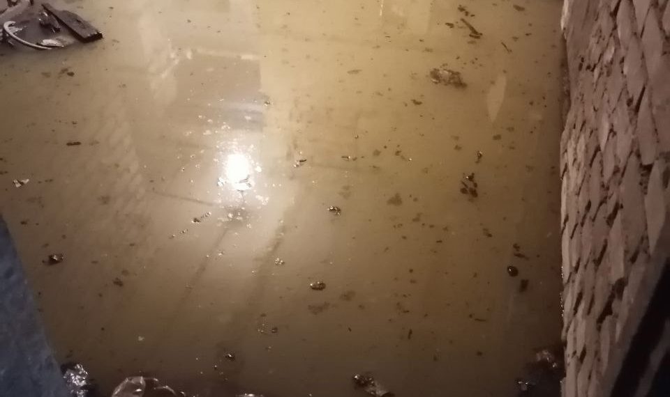 Фекальный трэш в Ульяновске