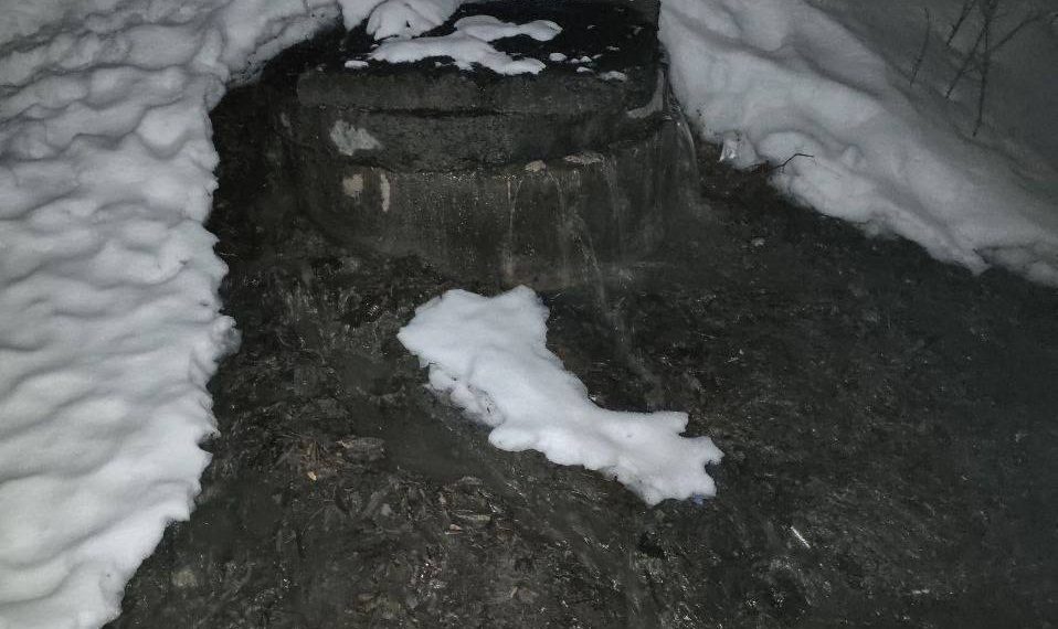 Дерьмопотоки текут по уникальному парку Ульяновска