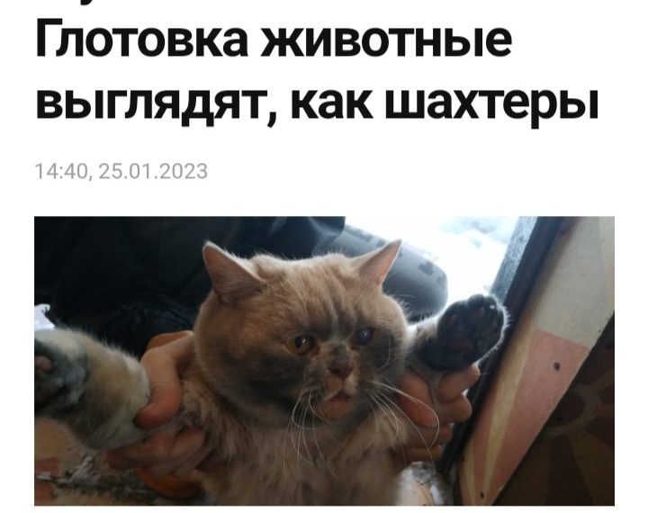 Губернатор Алексей Русских пообещал установить новую котельную в Глотовке