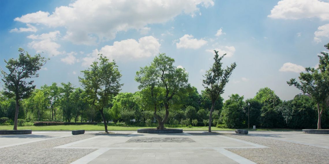 Ульяновская мэрия сносит неаварийные деревья