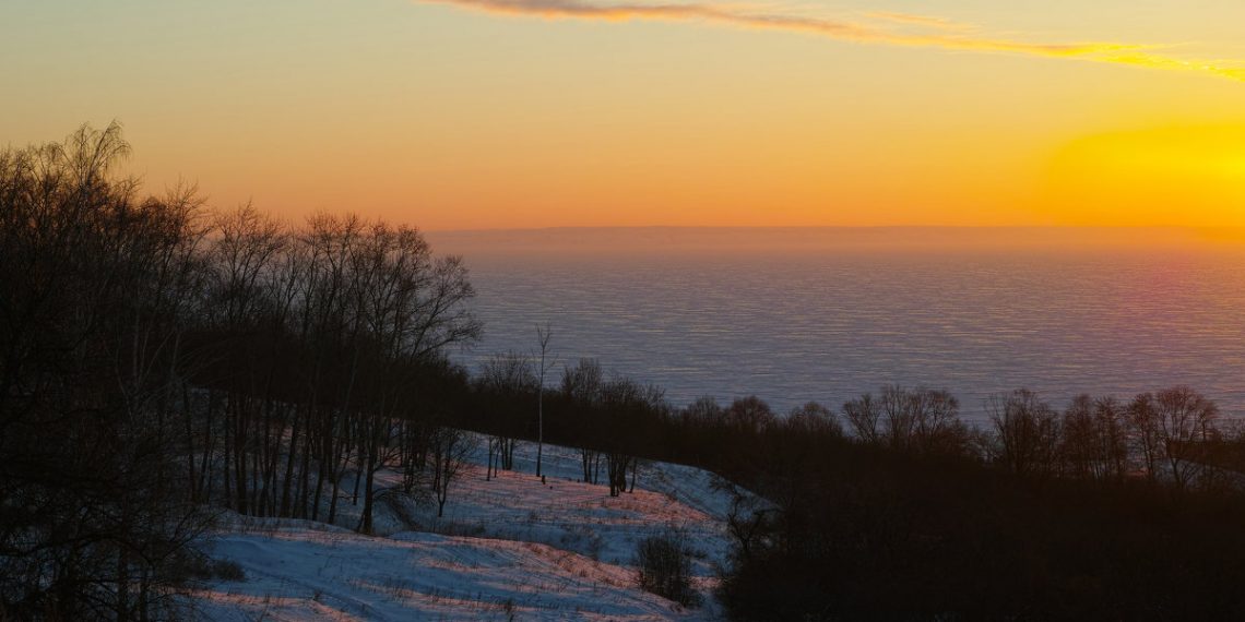 Елена Пронина из США потребовала передать Винновскую рощу федералам
