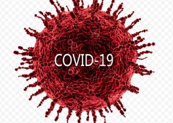 Ковид оставил 5 районов