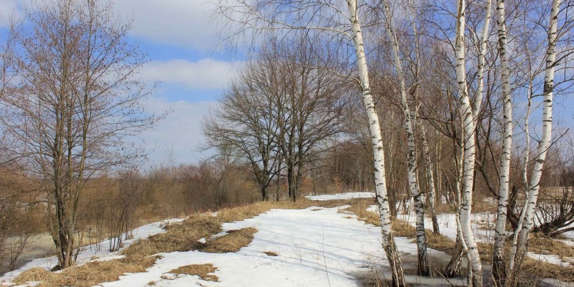 Март в Ульяновске будет дождливым