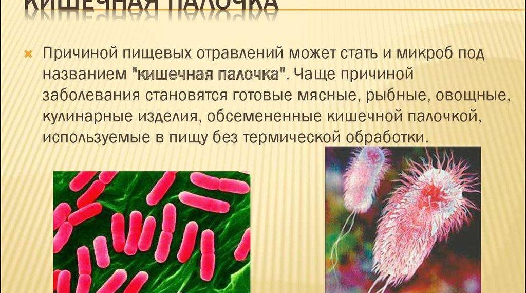 Следственный комитет и Роспотребнадзор разберутся, почему заболели студенты