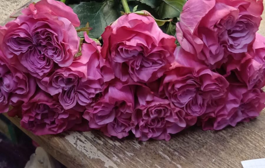 Как отметят ульяновцы 14 февраля