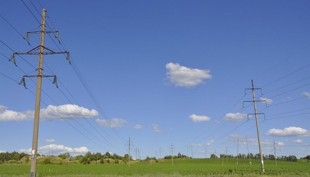 Земельные участки многодетным семьям выдаются, но очередь не маленькая