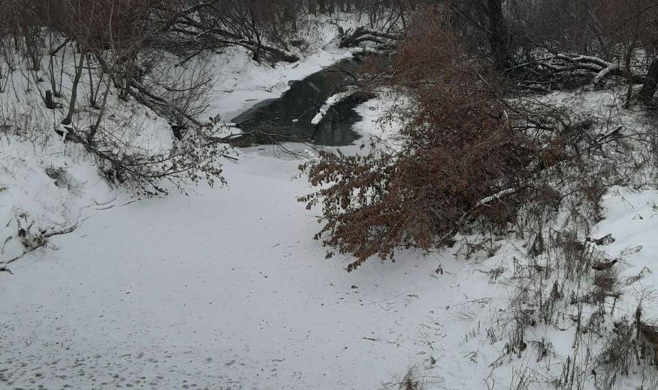 Подготовка к паводку в Ульяновской области началась