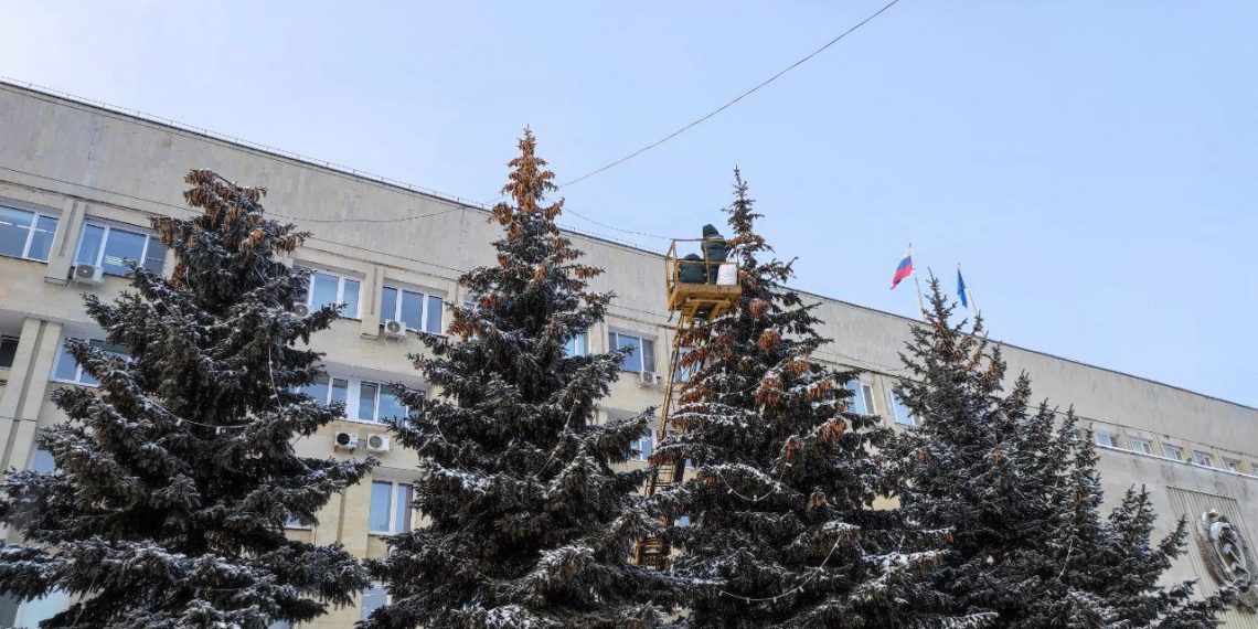 У Дома Советов собирают шишки