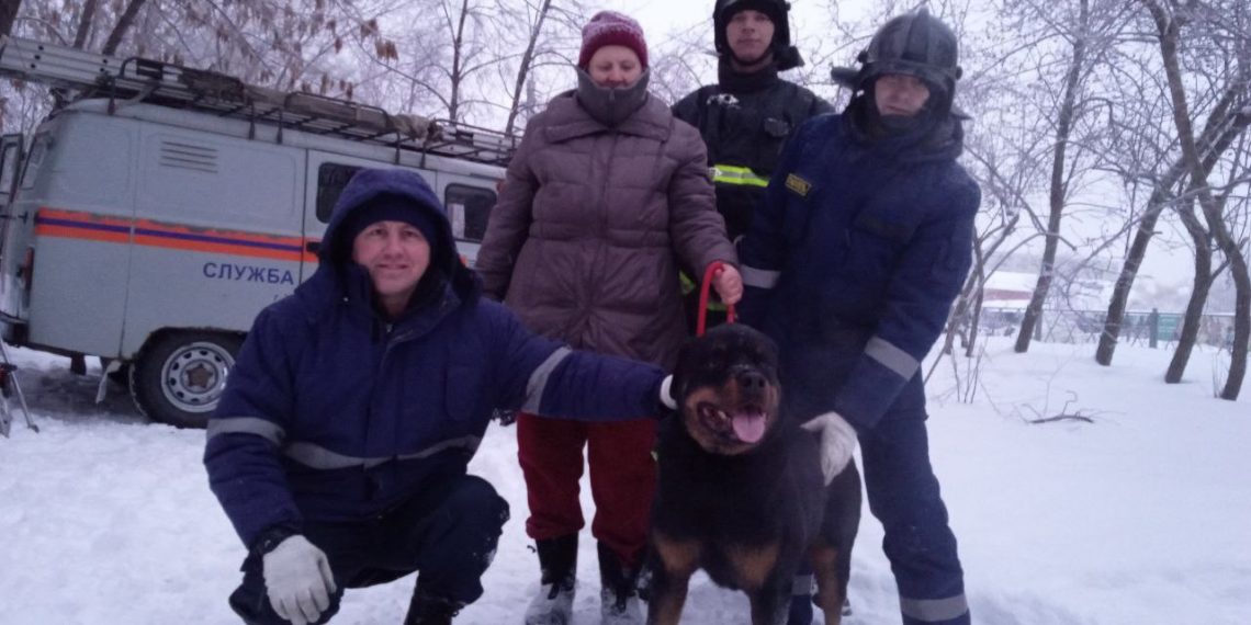 Ротвейлера достали из колодца и вернули хозяйке