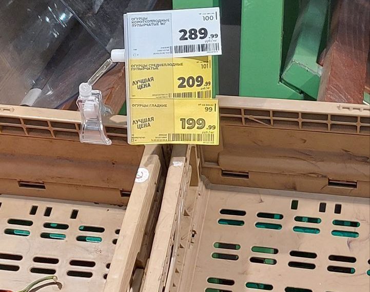 Вопреки заверениям минсельхоза огурцы в Ульяновске «золотые»