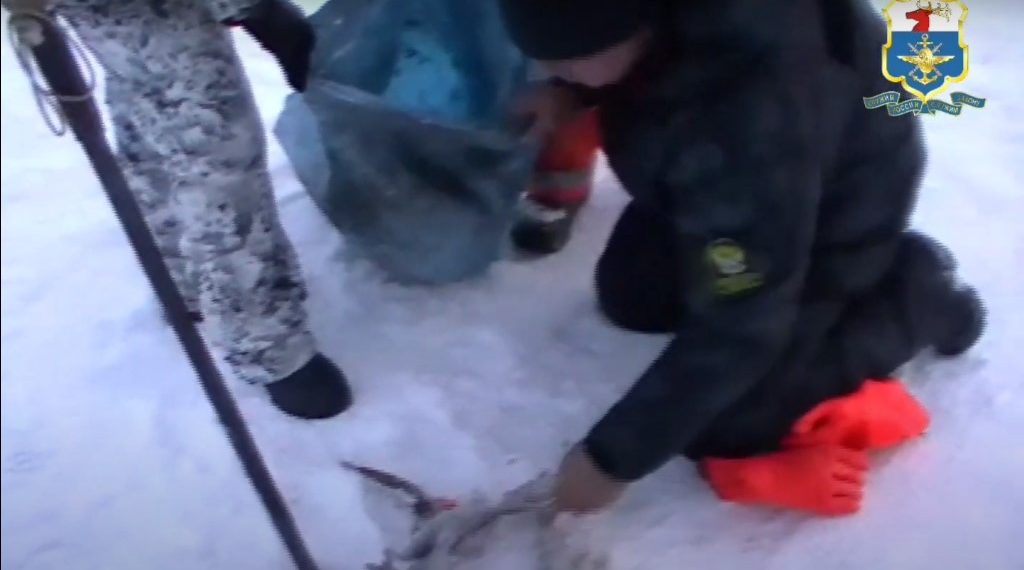 Ульяновский браконьер нанёс природе вред на 14 000 рублей