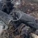 Жители Ватутина 60 сообщают о порыве теплотрассы