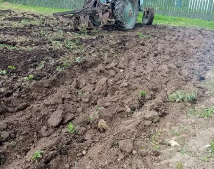 Пенсионер из Николаевки избил соседа