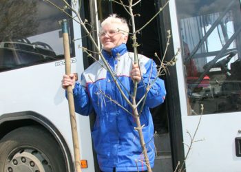 Транспорт для садоводов начнёт курсировать в день рождения Ленина