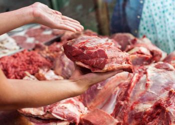 Мясо коровы из Чувашии, зараженное Сибирской язвой, попало в продажу