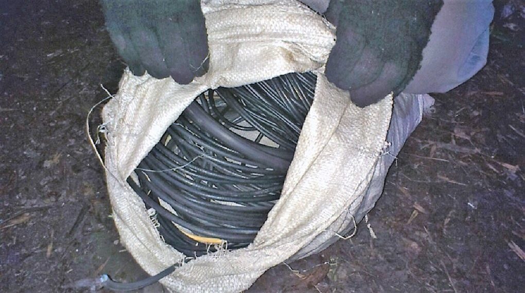 Электровора взяли с поличным росгвардейцы Димитровграда