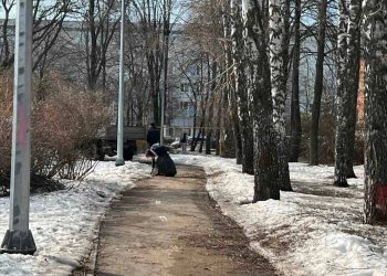 Месячник по благоустройству стартует в Ульяновске 3 апреля