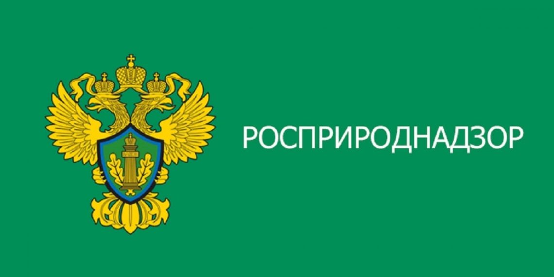 Росприроднадзор проверит Сенгилеевский цемзавод