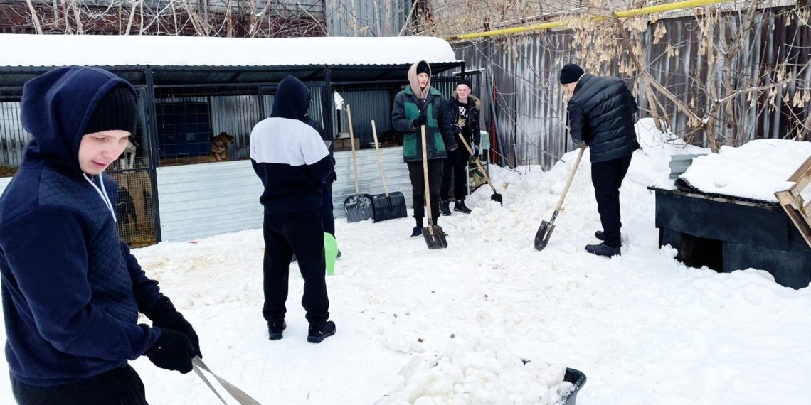 Осужденные помогли приюту при посредстве УФСИН