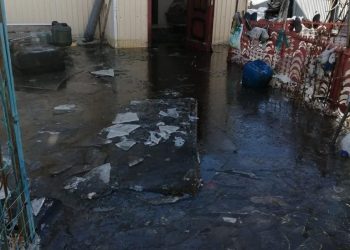 Администрация Ульяновска рассказала, а горожане показали