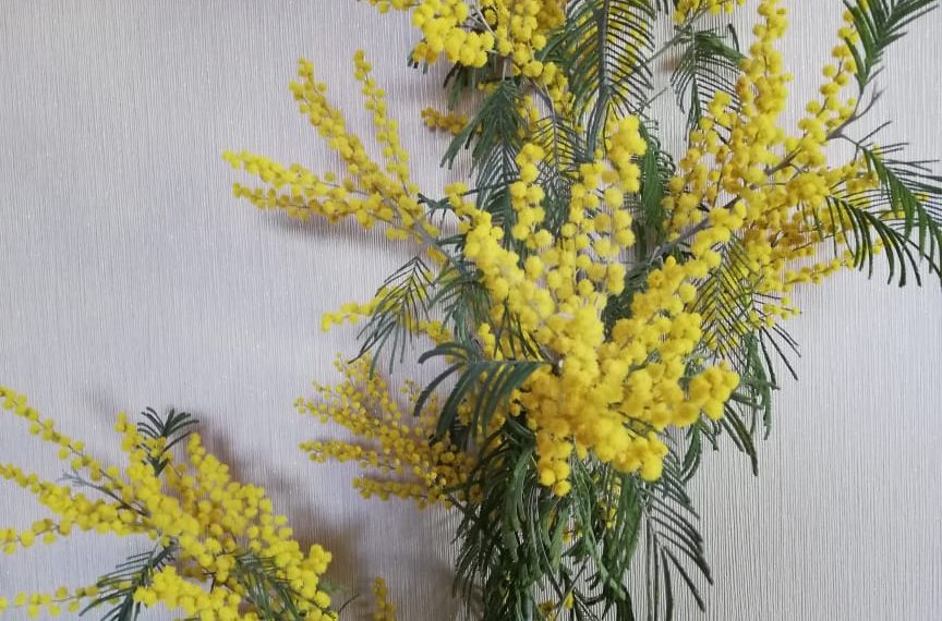 8 Марта ассоциируется у ульяновцев с весной и цветами 