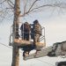 За неделю в Ульяновске спилено и убрано 83 аварийных  дерева
