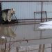 В Сенгилее талые воды затопили частный дом