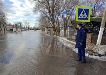Радищевская прокуратура проверит действия властей в противодействие паводку