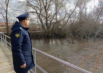 Радищевская прокуратура проверит действия властей в противодействие паводку