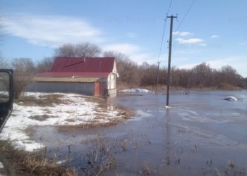 В Новоспасском районе затопило 4 дома и ферму