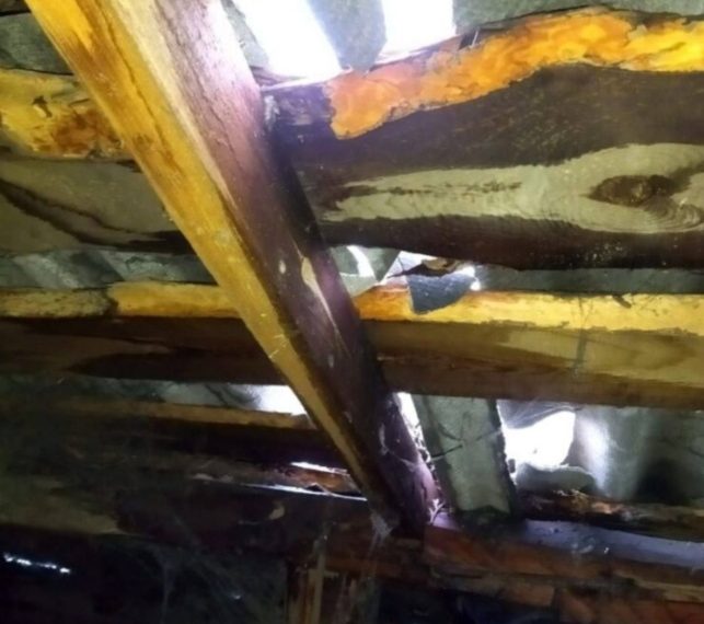 Деревья в Ульяновске рубят, да не там