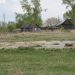 В Ульяновской области жители целого села остались без воды