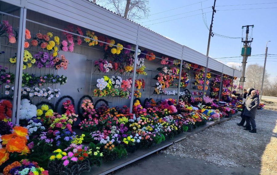 На Северном кладбище в Ульяновске власть укротила строптивую предпринимательницу