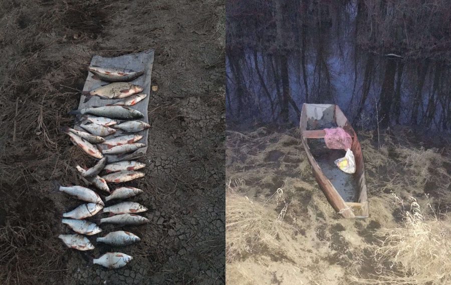 Полицейские поймали с поличным рыбаков-браконьеров на Суре в Ульяновской области