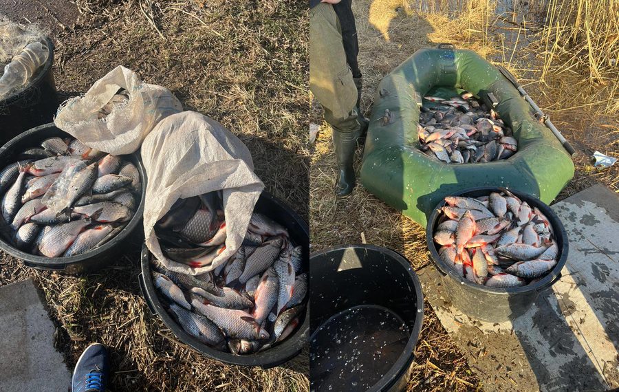 Полиция задержала ульяновца с незаконным уловом рыбы на 203 тысячи рублей