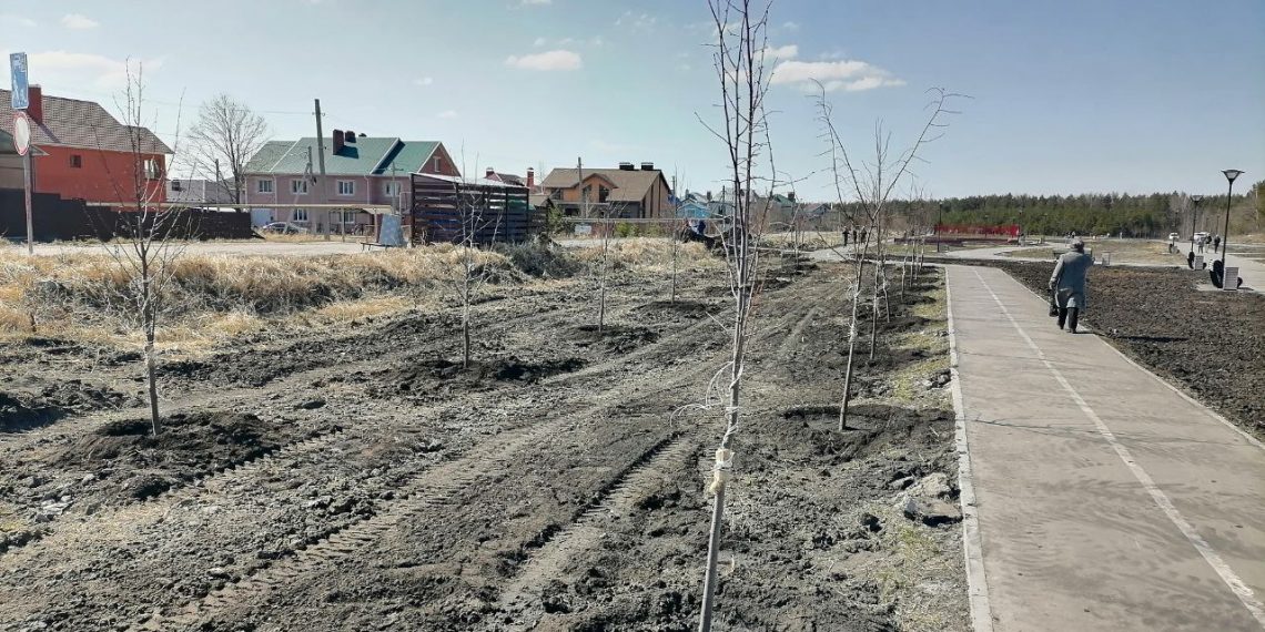 200 лип высадили в сквере «Трёх поколений» на севере Ульяновска