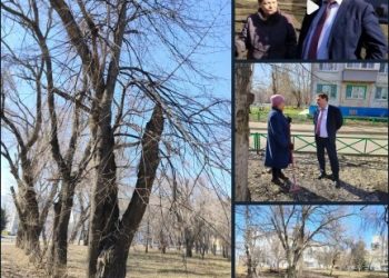 В Ульяновске зеленую зону между УлГПУ и кольцом Нариманова приведут в порядок