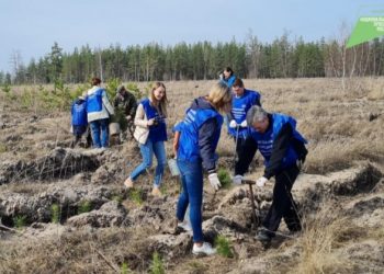 «Эко-весна» в Ульяновской области наступит 3 апреля
