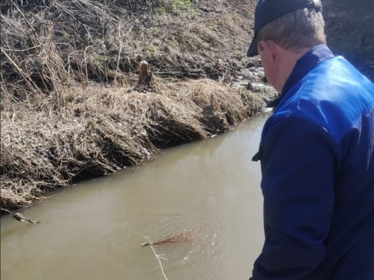 14 ловушек личинок чёрной мошки установили на семи реках в Ульяновской области