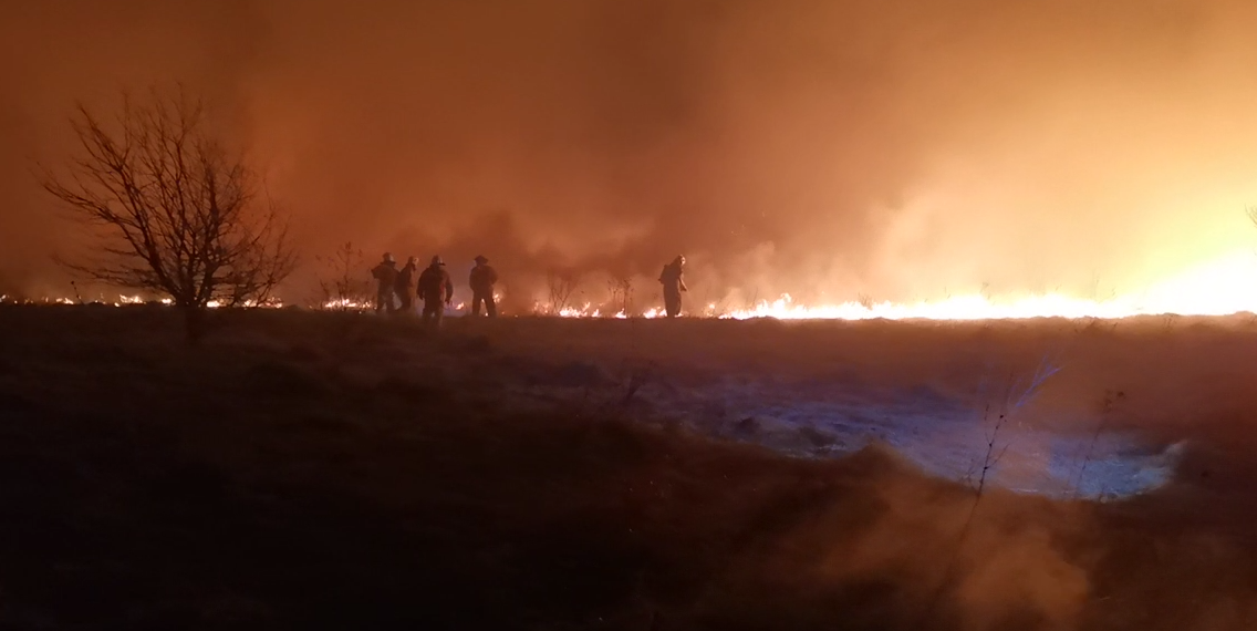 Крупный пожар в Чердаклинском лесничестве 14 апреля тушили 70 человек: видео