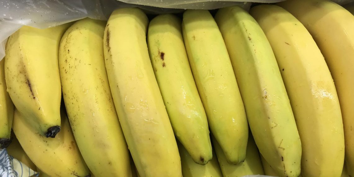 Ульяновский футбольный клуб «Волга» подаст в суд на болельщика