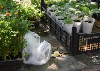 Дороги в Заволжье перекроют 8 апреля