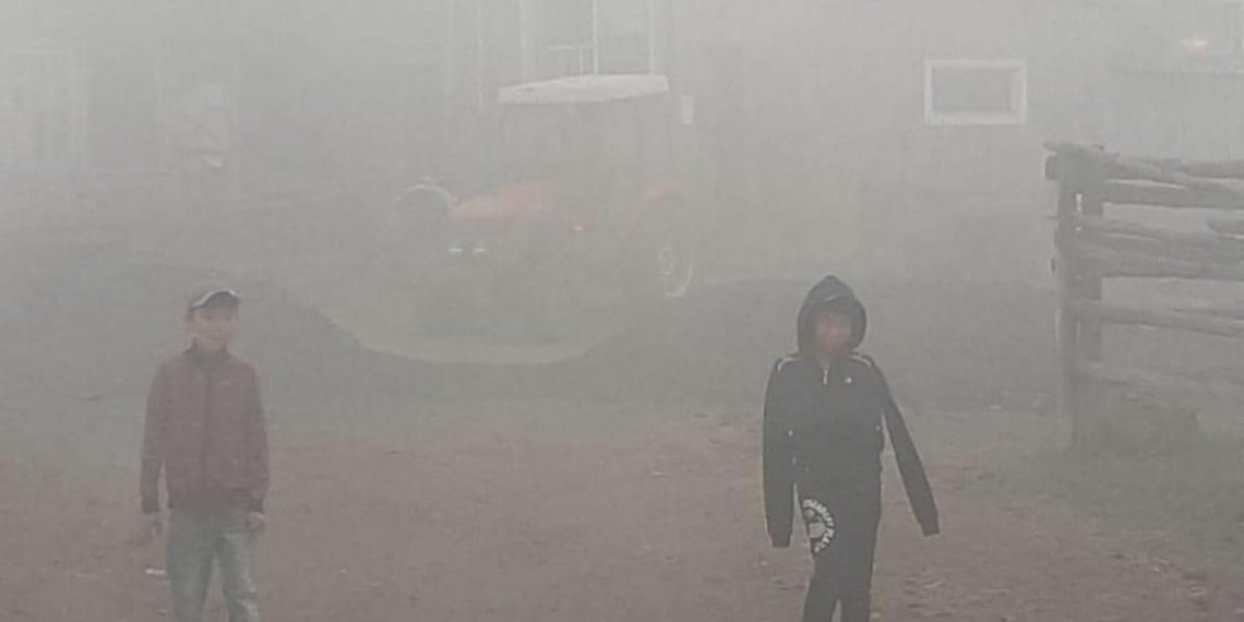 Министр Рахматулина объяснила, что стало причиной смога в пригородах Ульяновска