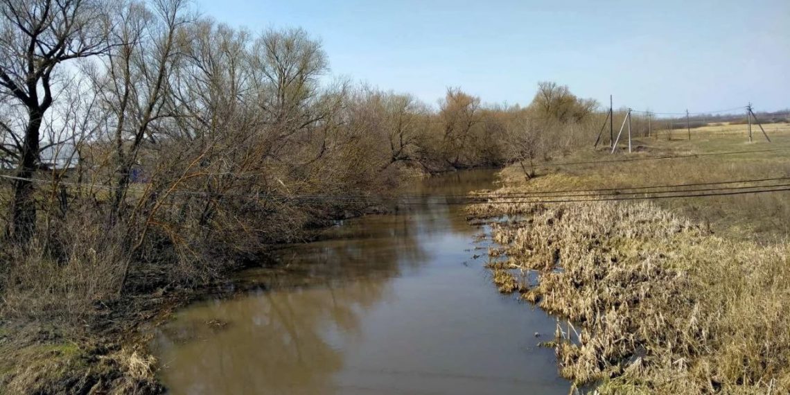 Русла трёх рек расчистят в Ульяновской области