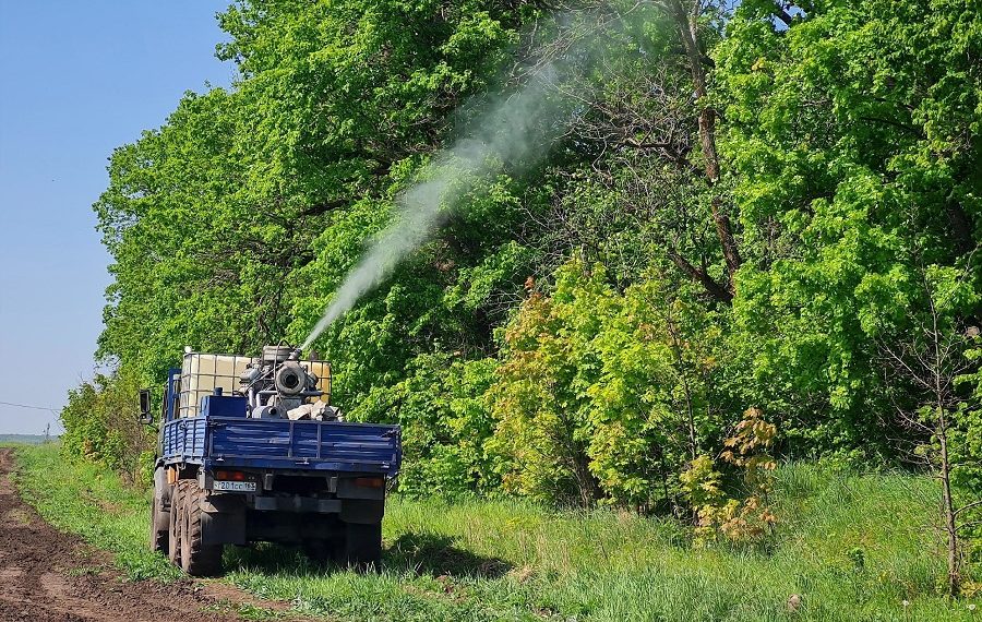 Почти треть лесных участков в Ульяновской области обработали от шелкопряда к 19 мая 2023 года