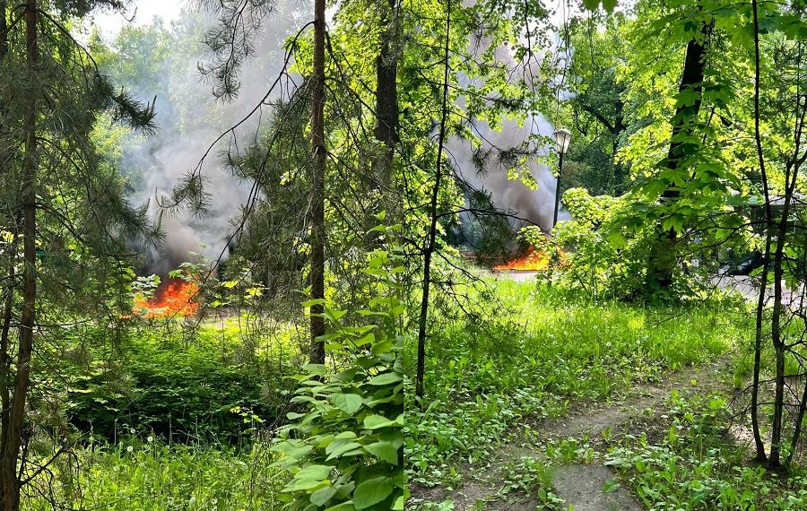 Утром 22 мая 2023 года в Ульяновске на территории парка «Винновская роща» загорелись биотуалеты