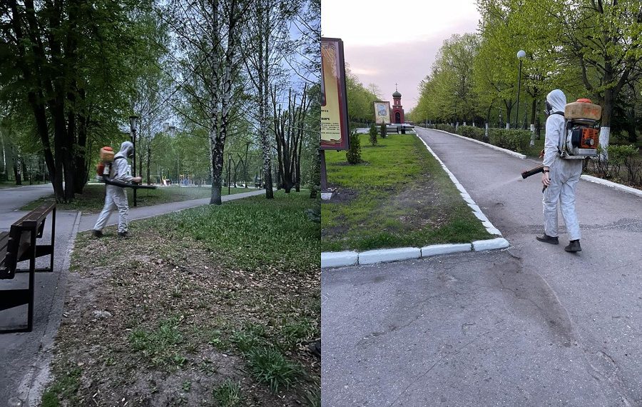 Болдакин поручил Моргунову побыстрее выводить клещей в парках и скверах Ульяновска