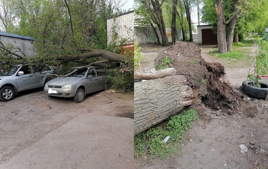 На Хрустальной в Ульяновске упавшим деревом прибило два автомобиля