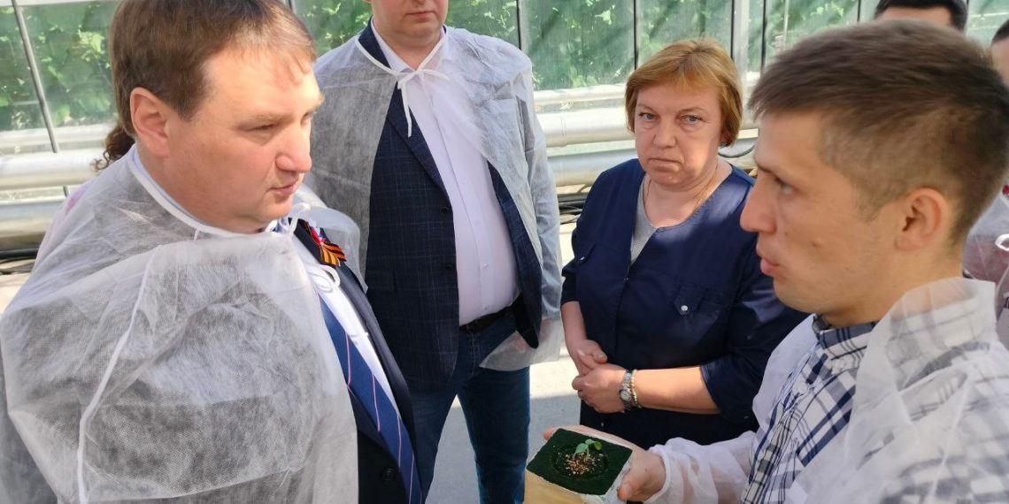 Болдакин расширит сеть для огурцов и клубники из «Тепличного»