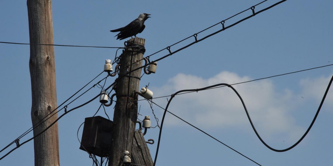 Неизолированные провода закупят для Ульяновска на 90 миллионов рублей